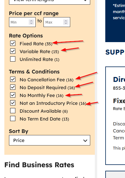Web filter example 2